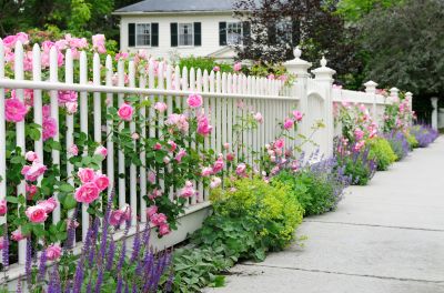 Decorative Picket Fence