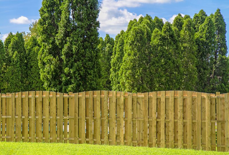 Finished Wooden Fence