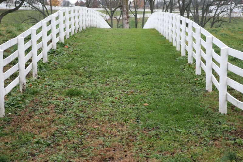 Horse Enclosure Installation